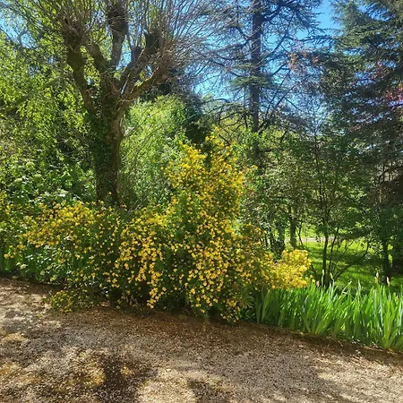 Appartement Neuf Detente Pres De Perigueux *