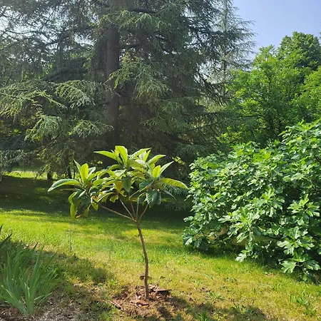 Neuf Detente Pres De Perigueux